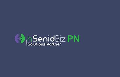 solutions partner